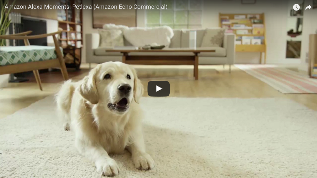 Amazon-Alexa-Skills-for-Pets