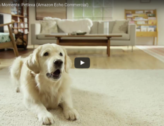 Amazon Echo Latest Innovation – Alexa Skills for Pets