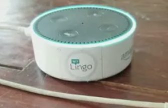 Alexa Can Now Invoke Skills without a Launch Request, Some Google Actions Can Do This Too