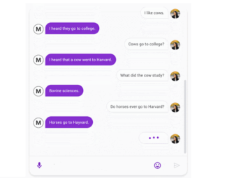 Google’s New Meena Chatbot Imitates Human Conversation and Bad Jokes