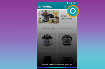 Amazon Adds Alexa to Shopping App in India