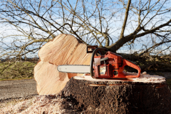 Chainsaw Product Highlights Risks for Brands Rushing into Voice Industry