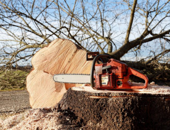 Chainsaw Product Highlights Risks for Brands Rushing into Voice Industry