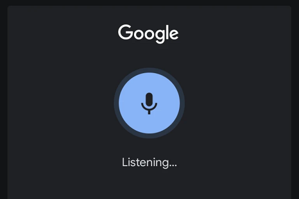 Google App Voice
