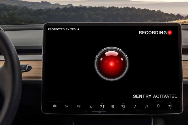 Tesla Sentry