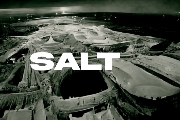 Salt AI