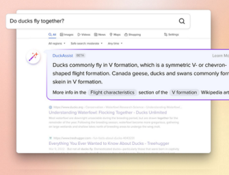 New DuckDuckGo Generative AI Feature Summarizes Wikipedia Articles for Instant Answers