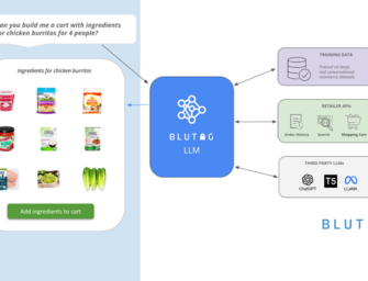Blutag Infuses Online Shopping With Generative AI