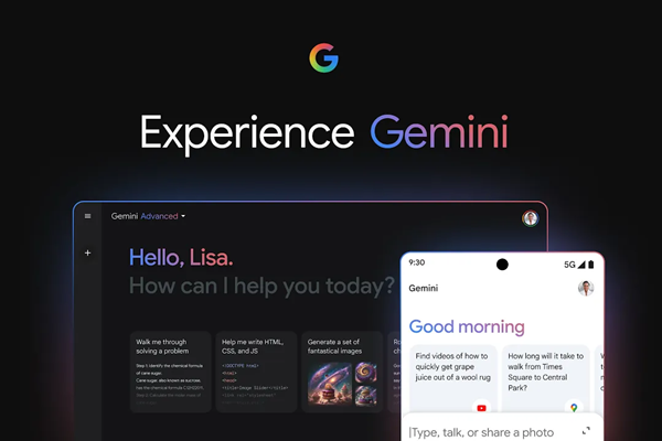 Gemini Privacy